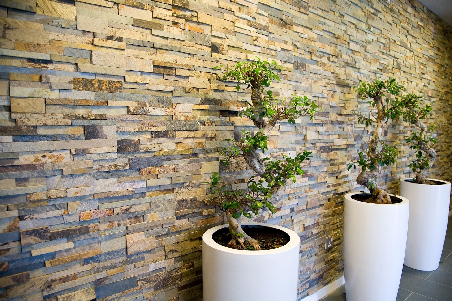 Feature Walls Image -5c82616a4c0e8